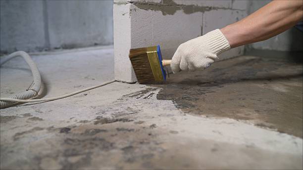 SJ Waterproofing Pros Waterproofing coverage map for Flora, IN and surrounding area